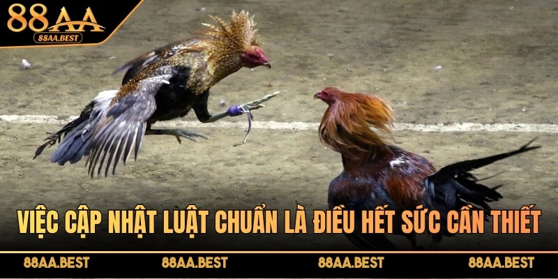 Luật Đá Gà Miền Nam - Quy Tắc, Cách Áp Dụng Tại Nhà Cái 88AA 3 Việc cập nhật luật chuẩn, mới nhất là điều hết sức cần thiết
